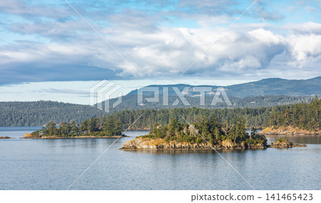 Landscape of Pacific ocean shore on Vancouver Island Landscape of Pacific ocean shore on Vancouver Island 141465423