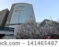 東京有樂町的櫻花 141465487