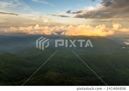 Nature landscape of Tennessee Appalachian mountains at sunrise. Mountain forest with green canopies in summer season Nature landscape of Tennessee Appalachian mountains at sunrise. Mountain forest with green canopies in summer season 141466806