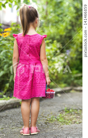 Little girl in dress child hand holdind small basket of ripe raspberries. Close-up Little girl in dress child hand holdind small basket of ripe raspberries. Close-up 141466859
