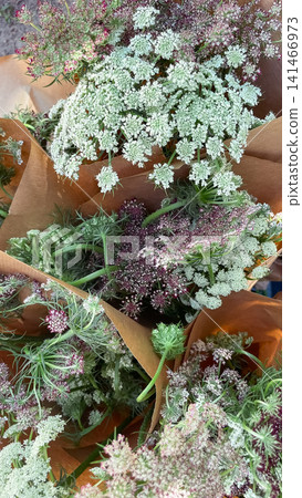 Bouquets of Queen Anne lace flowers wrapped in brown craft paper Bouquets of Queen Anne lace flowers wrapped in brown craft paper 141466973