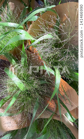 Decorative ornamental grass bouquets wrapped in brown craft paper Decorative ornamental grass bouquets wrapped in brown craft paper 141466990