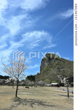 Spring scenery of Yagigahana and cherry blossoms (Shimoda, Sanjo City, Niigata Prefecture) Spring scenery of Yagigahana and cherry blossoms (Shimoda, Sanjo City, Niigata Prefecture) 141467064