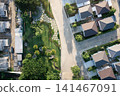 Urban Oasis Divided 141467091