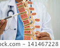 Doctor holding osteoporosis in back bone model for treatment medical in orthopedic department. 141467228