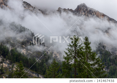Twin spruce trees below a cloud-capped Piz de Pares summit in dense fog Twin spruce trees below a cloud-capped Piz de Pares summit in dense fog 141467438