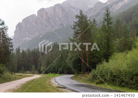 Wet forest road and gravel track diverging below misty Dolomite cliffs Wet forest road and gravel track diverging below misty Dolomite cliffs 141467450