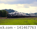 SL山口號蒸氣機車沐浴在夕陽中行駛。 141467763