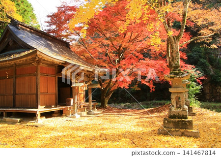 秋葉環繞著赤田神社。 141467814