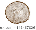 Close up view of a tree stump showing detailed growth rings and bark texture Close up view of a tree stump showing detailed growth rings and bark texture 141467826