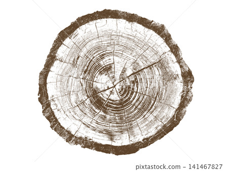 Close up view of a tree stump showing detailed growth rings, brown bark texture Close up view of a tree stump showing detailed growth rings, brown bark texture 141467827