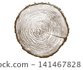 Close up view of tree stump showing detailed growth rings, brown bark texture Close up view of tree stump showing detailed growth rings, brown bark texture 141467828