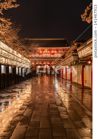 A spring scene of cherry blossoms blooming on the approach to Senso-ji Temple and the Hozomon Gate on a rainy night. A spring scene of cherry blossoms blooming on the approach to Senso-ji Temple and the Hozomon Gate on a rainy night. 141467913
