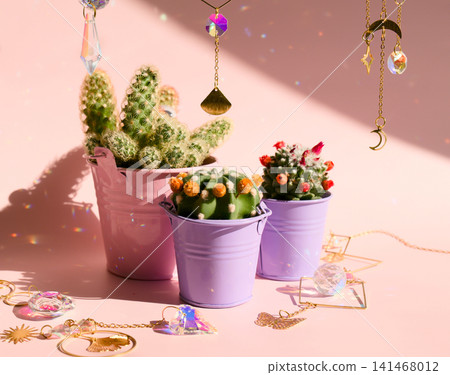 Pink Cacti and Shimmering Crystals Pink Cacti and Shimmering Crystals 141468012