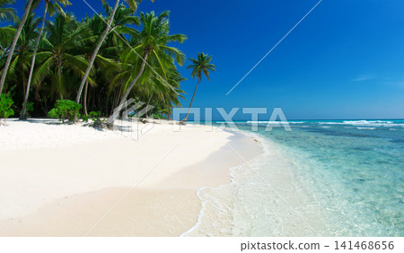 Sea landscape. Caribbean Beach and Palm tree. Paradise. Vacation and Tourism concept. Sea landscape. Caribbean Beach and Palm tree. Paradise. Vacation and Tourism concept. 141468656