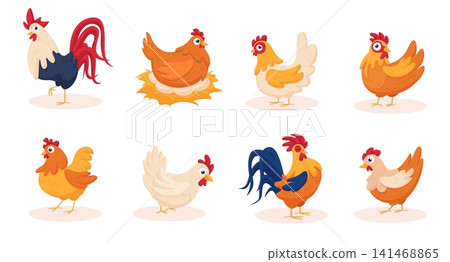 Cartoon chicken characters. Funny chickens and rooster. Isolated farm birds, agriculture animals. Home garden bird with vibrant feathers, nowaday vector set Cartoon chicken characters. Funny chickens and rooster. Isolated farm birds, agriculture animals. Home garden bird with vibrant feathers, nowaday vector set 141468865