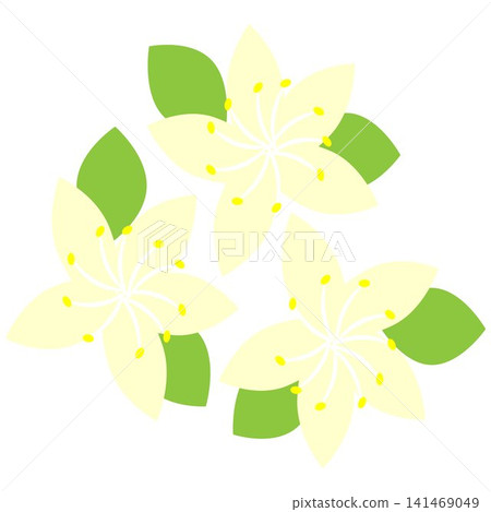 Three yellow linden flowers with green leaves. Plant image for business and agriculture. Vector illustration Three yellow linden flowers with green leaves. Plant image for business and agriculture. Vector illustration 141469049