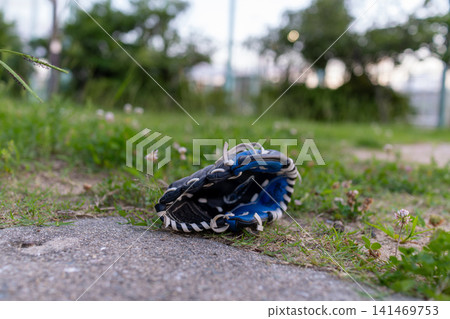 公園草坪上放著一隻藍黑相間的棒球手套。 公園草坪上放著一隻藍黑相間的棒球手套。 141469753