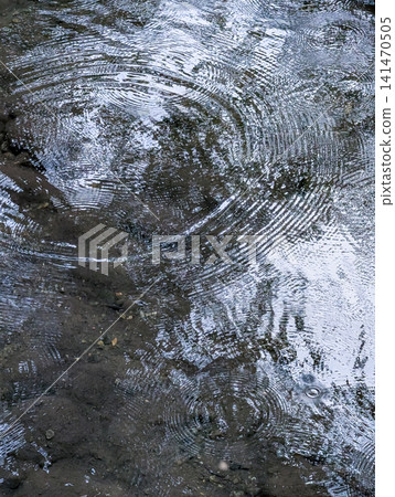 Beautiful ripples and reflections drawn on the water's surface by rain / Background material expressing the tranquility of nature Beautiful ripples and reflections drawn on the water's surface by rain / Background material expressing the tranquility of nature 141470505