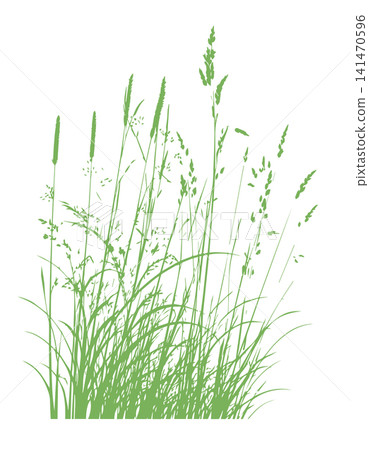 Grass green silhouette vector isolated on white background nature design illustration of grass plant pattern greenery artwork Hand drawn. Not AI, vector illustration. 141470596
