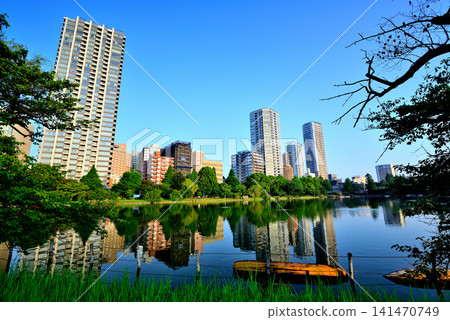 Ueno Park, Shinobazu Pond: Boating Pond and High-Rise Apartment Buildings Ueno Park, Shinobazu Pond: Boating Pond and High-Rise Apartment Buildings 141470749