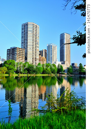 Ueno Park, Shinobazu Pond: Boating Pond and High-Rise Apartment Buildings Ueno Park, Shinobazu Pond: Boating Pond and High-Rise Apartment Buildings 141470773
