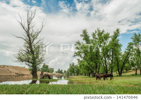 Peaceful rural scene with horses in natural habitat. 141470846