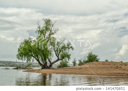 Dramatic scene of nature resilience and climate impact. Dramatic scene of nature resilience and climate impact. 141470851