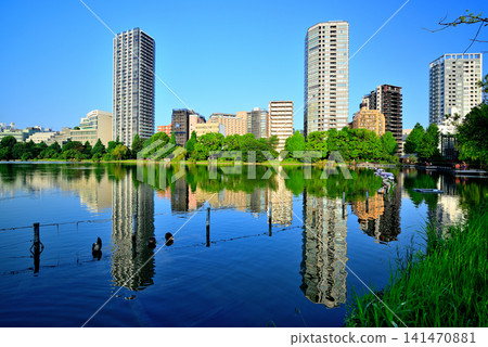 上野公園,不忍池:划船池和高層公寓大樓 上野公園,不忍池:划船池和高層公寓大樓 141470881