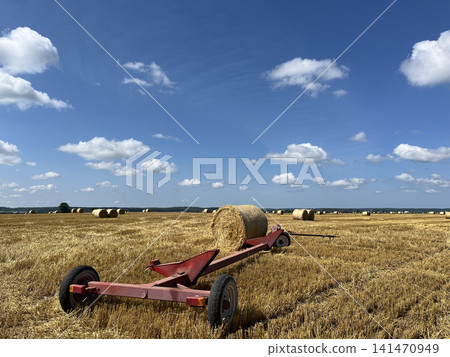 Header trailer with round hay bale in harvested field under clear blue summer sky landscape 141470949