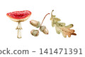 A collection of autumn forest elements ,red fly agaric, brown acorns, and oak leaves.  141471391