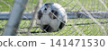 Football  141471530