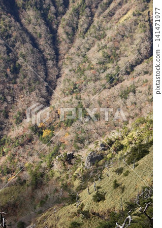 石槌岳、天狗岳、墓園嶺、南千峰、愛媛縣最高峰、壯麗景色、健行、多變路線、陡峭懸崖、自然環境 石槌岳、天狗岳、墓園嶺、南千峰、愛媛縣最高峰、壯麗景色、健行、多變路線、陡峭懸崖、自然環境 141471977