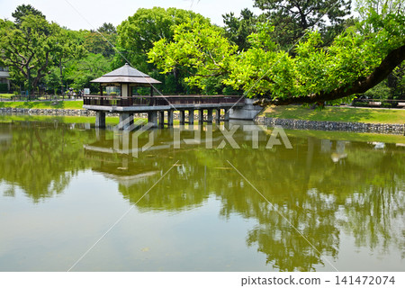 Ryugaike Pond in Tsurumai Park, Nagoya City: A reflection of the floating pavilion surrounded by fresh greenery (5) Ryugaike Pond in Tsurumai Park, Nagoya City: A reflection of the floating pavilion surrounded by fresh greenery (5) 141472074