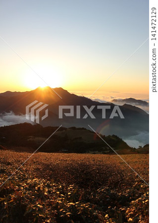從愛媛縣石槌山脈的龜森山上看到的夢幻般的日落：夕陽西下，雲海翻騰，石槌山的輪廓在落日的映照下熠熠生輝。 141472129