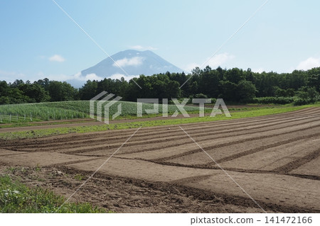 Mt. Yotei and fields Mt. Yotei and fields 141472166