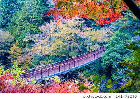 秋川谷、石船橋,染紅了東京的秋葉 秋川谷、石船橋,染紅了東京的秋葉 141472280