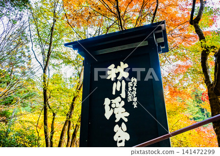 Akigawa Valley in Tokyo, ablaze with autumn colors Akigawa Valley in Tokyo, ablaze with autumn colors 141472299