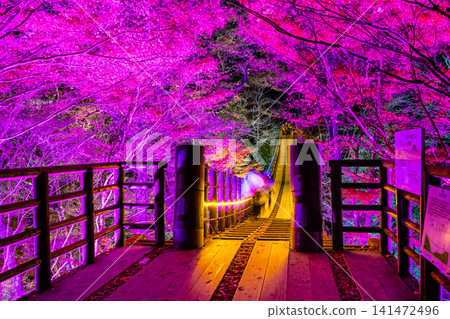 Ibaraki: Hananuki Valley illuminated in autumn colors. Ibaraki: Hananuki Valley illuminated in autumn colors. 141472496