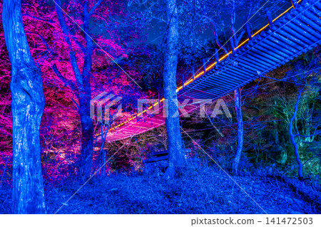 Ibaraki: Hananuki Valley illuminated in autumn colors. Ibaraki: Hananuki Valley illuminated in autumn colors. 141472503