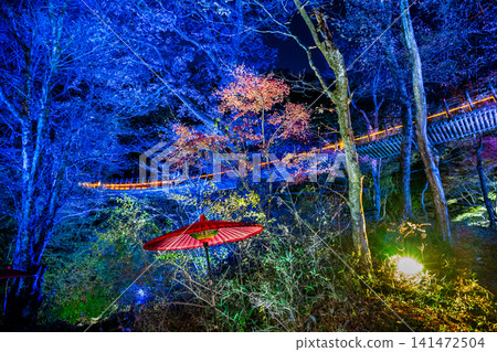 Ibaraki: Hananuki Valley illuminated in autumn colors. 141472504