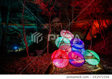 Ibaraki: Hananuki Valley illuminated in autumn colors. Ibaraki: Hananuki Valley illuminated in autumn colors. 141472508