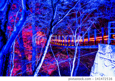 Ibaraki: Hananuki Valley illuminated in autumn colors. Ibaraki: Hananuki Valley illuminated in autumn colors. 141472516