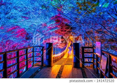 茨城縣:秋色斑斕的花貫谷。 茨城縣:秋色斑斕的花貫谷。 141472520