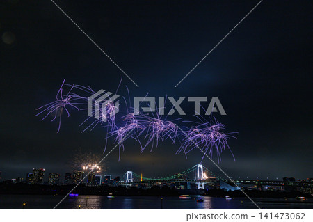 夜空中的煙花 夜空中的煙花 141473062