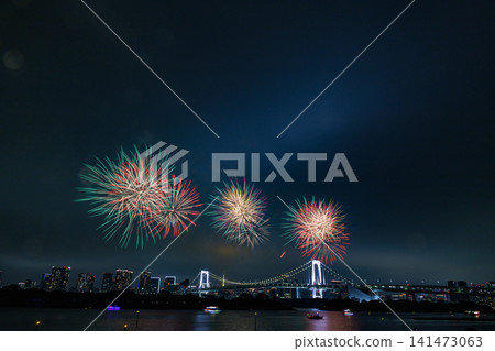 Colorful fireworks spread across the night sky Colorful fireworks spread across the night sky 141473063