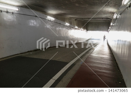 道路穿過鐵路線的低矮(2.1公尺)地下通道(從內部向外看)。 道路穿過鐵路線的低矮(2.1公尺)地下通道(從內部向外看)。 141473065