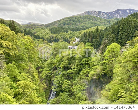 從河原湯橋欣賞鬱鬱蔥蔥的小安峽瀑布。 從河原湯橋欣賞鬱鬱蔥蔥的小安峽瀑布。 141473364