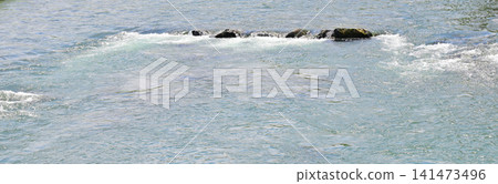 Arakawa River in early summer (clipping) Arakawa River in early summer (clipping) 141473496
