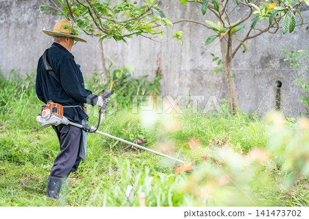 Elderly man mowing with a mower in early summer Elderly man mowing with a mower in early summer 141473702